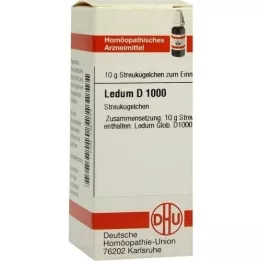 LEDUM Globules D 1000, 10 g