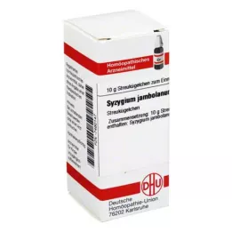 SYZYGIUM JAMBOLANUM Globules D 6, 10 g