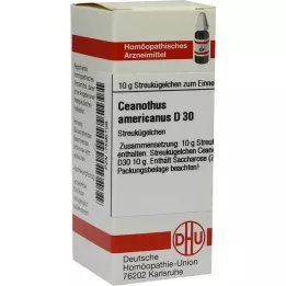 CEANOTHUS AMERICANUS D 30 globules, 10 g