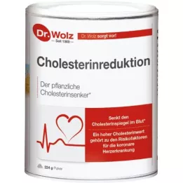 CHOLESTERINREDUKTION Poudre Dr.Wolz, 224 g