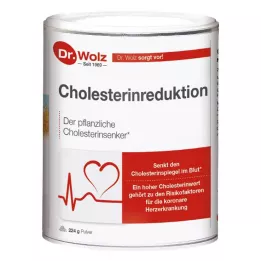 CHOLESTERINREDUKTION Poudre Dr.Wolz, 224 g