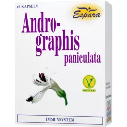 ANDROGRAPHIS Gélules de paniculata, 60 gélules