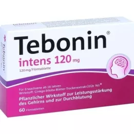 TEBONIN intens 120 mg comprimés pelliculés, 60 comprimés