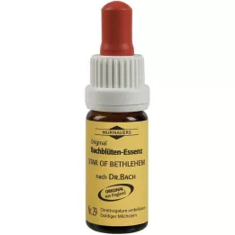BACHBLÜTEN Murnauer Star of Bethlehem gouttes, 20 ml