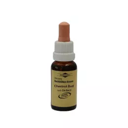 BACHBLÜTEN Murnauer Chestnut Bud gouttes, 20 ml