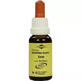 BACHBLÜTEN Murnauer Gorse gouttes, 20 ml