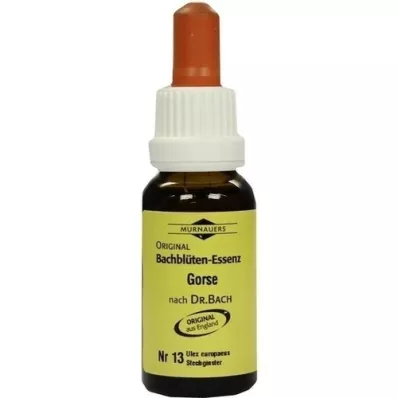 BACHBLÜTEN Murnauer Gorse gouttes, 20 ml