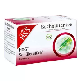 H&amp;S Fleurs de Bach Tisane du bonheur des écoliers, sachet-filtre, 20X3.0 g