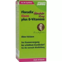 FLORADIX Gélules de fer et de vitamines B, 40 gélules