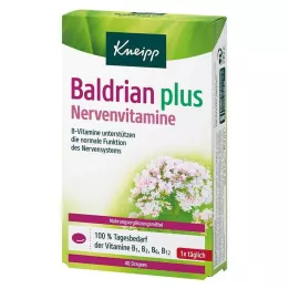 KNEIPP Valériane plus vitamines pour les nerfs, dragées, 40 pces