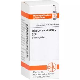 DIOSCOREA VILLOSA C 200 globules, 10 g