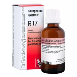 SCROPHULAE-Mélange Gastreu R17, 50 ml