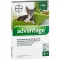 ADVANTAGE 40 Solution pour chiens jusquà 4 kg, 4 pces