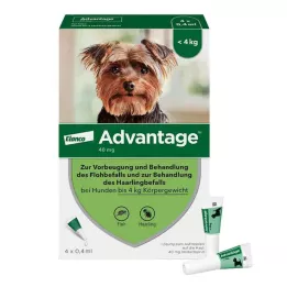 Avantage 40 pour chiens jusquà 4 kg, 4 pièces