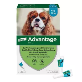 Avantage 100 pour chiens de 4 à 10 kg, 4 pièces