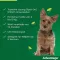 ADVANTAGE 100 Solution pour chiens 4-10 kg, 4 pces
