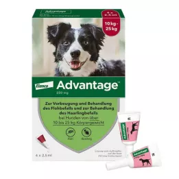 Avantage 250 pour chiens de 10 à 25 kg, 4 pcs