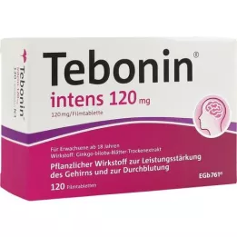 TEBONIN intens 120 mg comprimés pelliculés, 120 pc