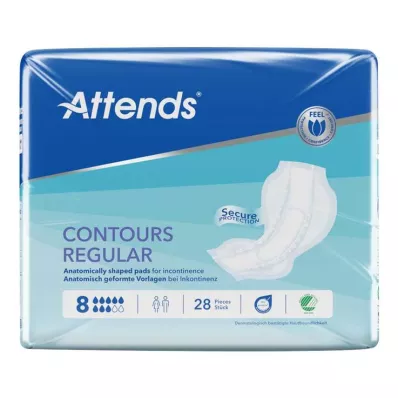 Attends Contours Regular 8 Modèle, 28 pc