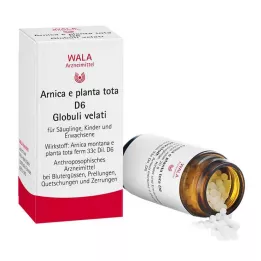 ARNICA E Planta tota D 6 globules, 20 g