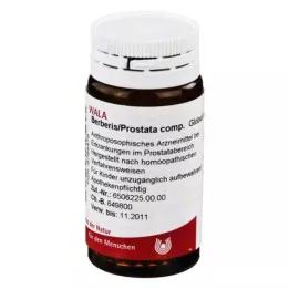 BERBERIS/PROSTATA globules comp., 20 g