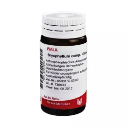 BRYOPHYLLUM COMP.Globules, 20 g