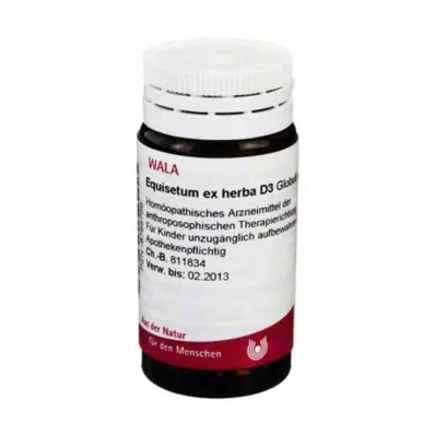 Equisetum ex Herba D 3 globules, 20 g Equisetum ex Herba D 3 globules, 20 g