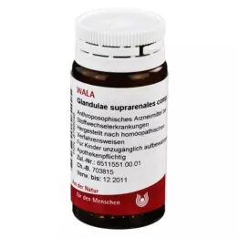 GLANDULAE SUPRARENALES globules comp., 20 g