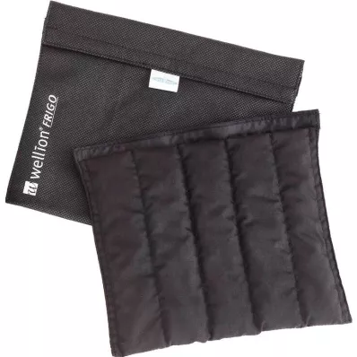 WELLION FRIGO XXL med cooler bag, 1 pc