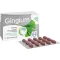 GINGIUM 40 mg Comprimés pelliculés, 120 pc