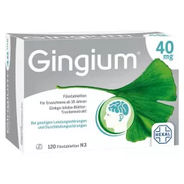 GINGIUM 40 mg Comprimés pelliculés, 120 pc