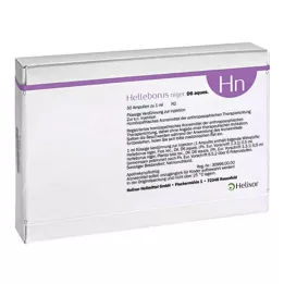 HELLEBORUS NIGER D 6 aquos.ampoules, 50 pc