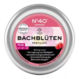 ENERGIE BACHBLÜTENPASTILLEN selon le Dr Bach, 50 g