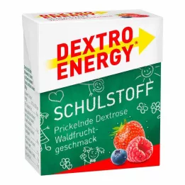 DEXTRO ENERGY Fruits des bois en tablettes, 50 g