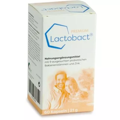 LACTOBACT PREMIUM Gélules gastro-résistantes, 60 gélules