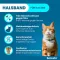 SERESTO Collier pour chats, 1 pc