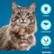 SERESTO Collier pour chats, 1 pc