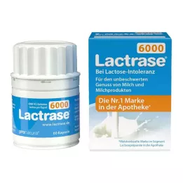 LACTRASE 6.000 FCC Gélules, 60 pièces