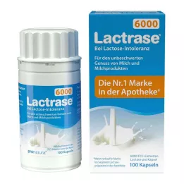 LACTRASE 6.000 FCC Gélules, 100 pc