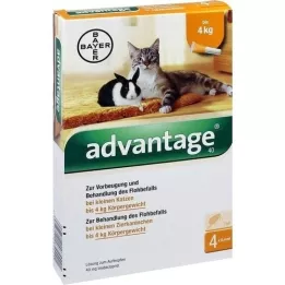 ADVANTAGE 40 mg Lait pour petits chats/lapins dornement, 4X0.4 ml