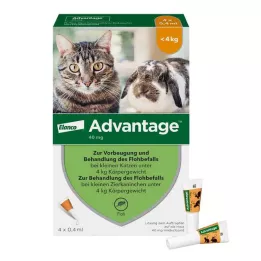 ADVANTAGE 40 mg Lait pour petits chats/lapins dornement, 4X0.4 ml