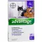 ADVANTAGE 80 mg pour grands chats et grands lapins dornement, 4X0.8 ml