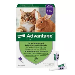 ADVANTAGE 80 mg pour grands chats et grands lapins dornement, 4X0.8 ml