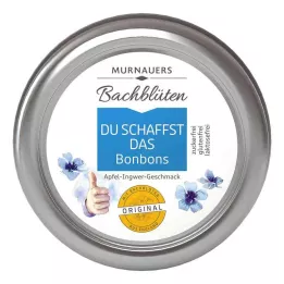 BACHBLÜTEN Bonbons Murnauers Du schafft das, 50 g