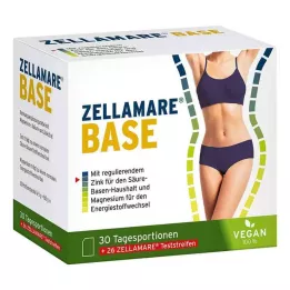 ZELLAMARE Bandelettes de base et de base, 30 pces