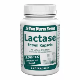 LACTASE 12.000 FCC Gélules denzymes, 120 gélules