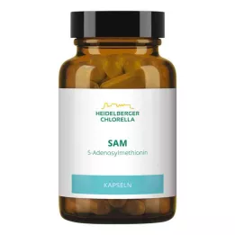 SAM S-ADENOSYLMETHIONIN Gélules, 60 pièces
