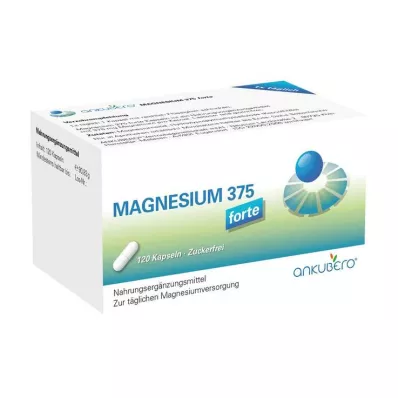 Capsules de magnésium 375 forte, 120 pièces