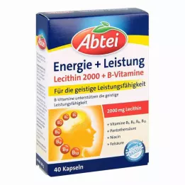 ABTEI Gélules de vitamines B Lecithin 2000 Plus, 40 gélules