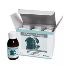 Reconvales Tonique pour Chiens, 6X90 ml
